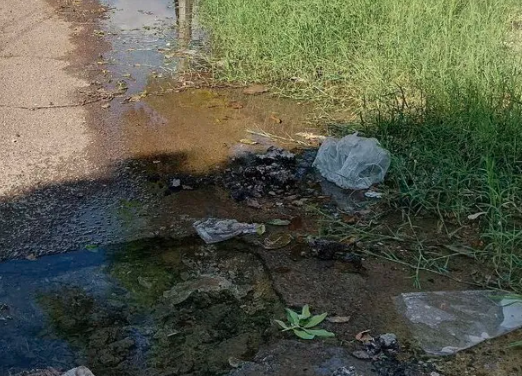 Fuga de agua potable persiste por dos semanas en la colonia Moderna de Torreón