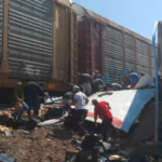 Si participaste en la rapiña de pollo en Gómez Palacio, ¡cuidado! Denuncian que estaba contaminado