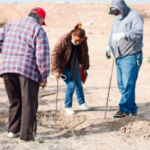 Grupo Vida encuentra cinco fosas clandestinas con cráneos, costillas y ropa en Patrocinio, Coahuila