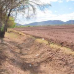 Campesinos de La Laguna enfrentan incertidumbre por bajo nivel en presas