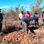 Aparecen nuevas fosas y reportan al menos ocho cuerpos: Madres Buscadoras de Sonora