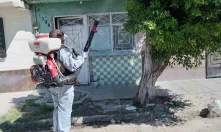 Dengue: Secretaría de Salud de Coahuila y Torreón siguen luchando contra el mosco