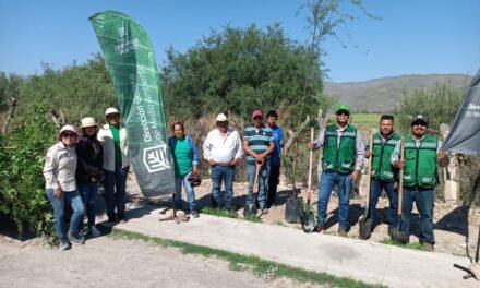 Torreón culmina «Planta y Cuida»: 10 mil familias beneficiadas con la donación de árboles