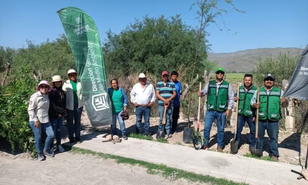 Torreón culmina «Planta y Cuida»: 10 mil familias beneficiadas con la donación de árboles