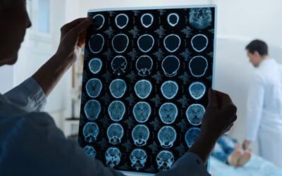 La ciencia de la memoria: Cómo el cerebro organiza nuestras experiencias en capítulos significativos