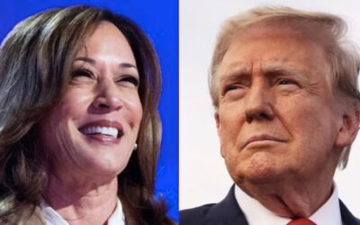 Estrategias digitales de Trump y Harris para captar el voto joven: un campo de batalla virtual