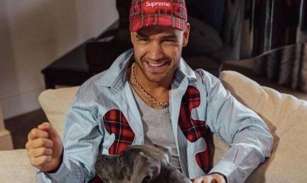 Revelan detalles de la autopsia de Liam Payne: investigan posible suicidio