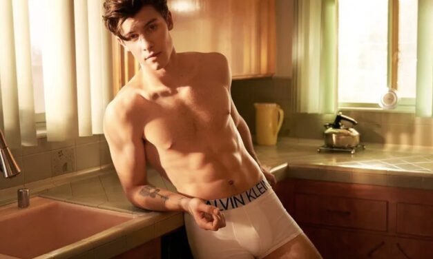 Shawn Mendes se abre sobre su sexualidad: «Estoy tratando de ser valiente y simplemente ser humano»