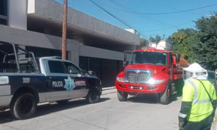 Abejas y fuego se ´unen´ en Torreón para hacer sufrir a pareja de abuelos y niño