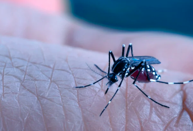 Dengue hemorrágico le quita la vida a menor en Coahuila