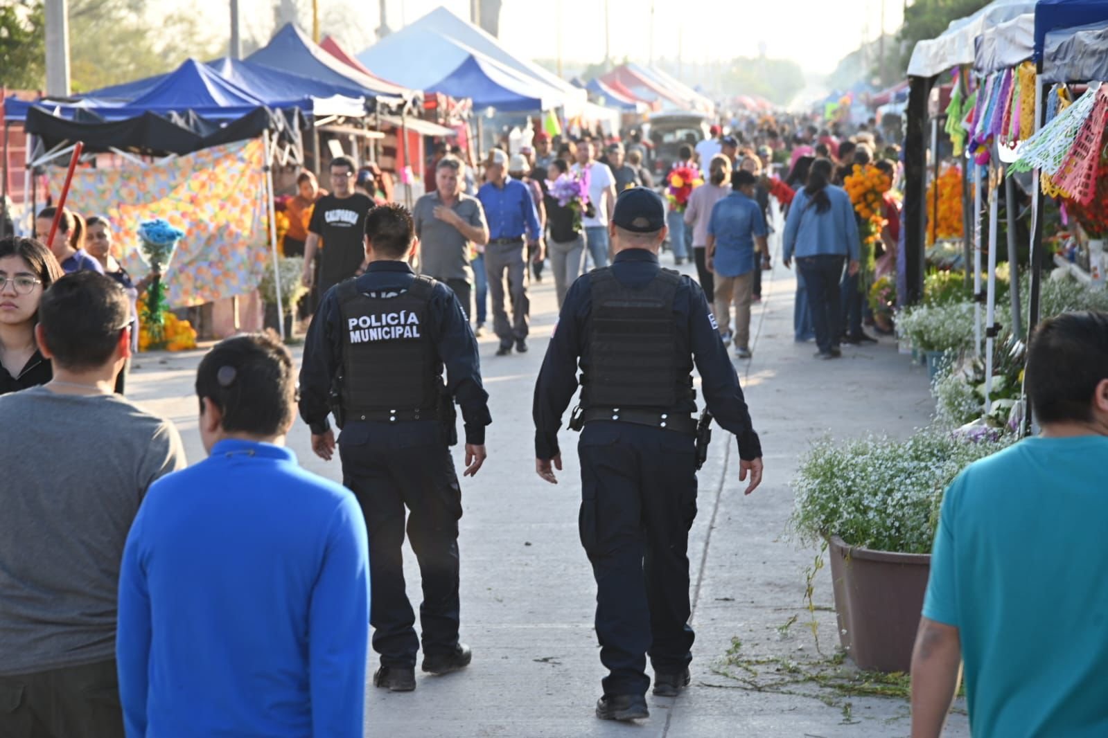 WhatsApp Image 2024-11-05 at 09.08.14