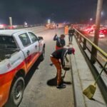 Con árboles plantados y mucha limpieza, el Giro Independencia de Torreón está listo