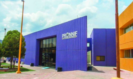 Pronnif atendió más casos de omisión de cuidados durante 2024