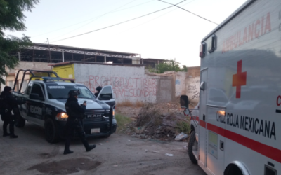 Policiaca: Por robar trigo, guardias persiguen y disparan a sujeto en Torreón