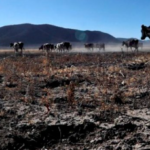 Coahuila y Durango cierran 2024 con casi 50% y 80% de sequía, respectivamente