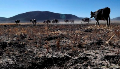 Coahuila y Durango cierran 2024 con casi 50% y 80% de sequía, respectivamente