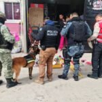 Perros policía de Torreón detectan casi 40 kilos de pirotecnia en Gómez Palacio