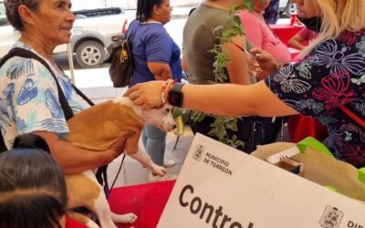 En Torreón las mascotas importan: Salud Municipal brindó 90 mil acciones