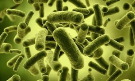 Alerta epidemiológica en México: brote de infecciones por Klebsiella oxytoca