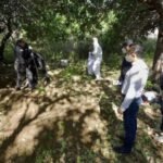 Descubren 13 fosas clandestinas en Chiapas: hallan 17 cuerpos y aumentan tensiones por inseguridad