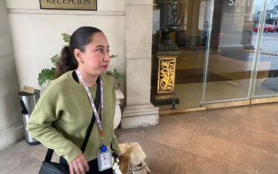 Niegan entrada a su perro guía: joven invidente denuncia discriminación en hotel de Monterrey