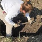 Finaliza la tercera etapa de exhumación en Morelos: 40 cuerpos recuperados de una fosa común