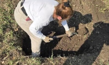 Finaliza la tercera etapa de exhumación en Morelos: 40 cuerpos recuperados de una fosa común