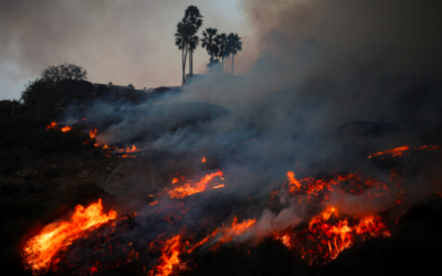 Incendio forestal obliga evacuación de 30 mil personas en Los Ángeles