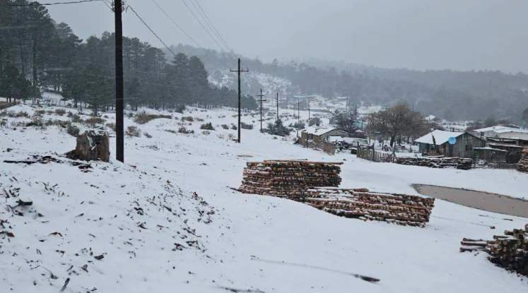 ¡Y cayó la nieve en Durango! Sierra empieza a pintarse de blanco