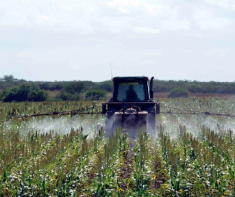Conagua ´ahorca´ al campo de La Laguna: Limitan líquido para cultivos