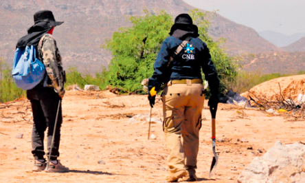 Captura de pantalla 2025-01-22 093705