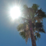 La Laguna iniciaría semana con calor para terminarla con frío