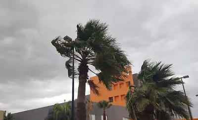 Recomendaciones de Protección Civil para enfrentar vientos en Torreón