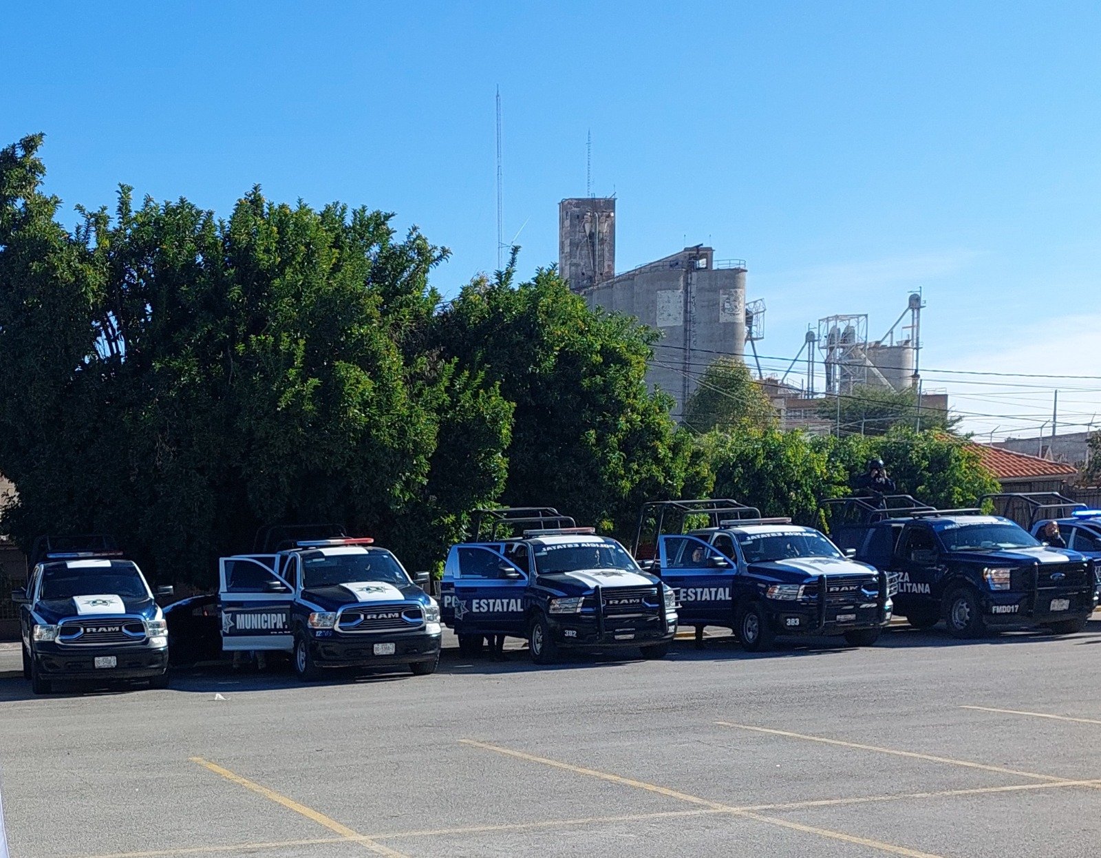 WhatsApp Image 2025-01-08 at 14.20.09