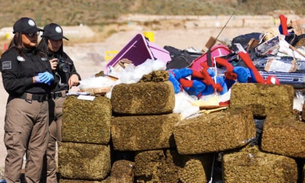 México alcanza más de 10.000 detenciones y 90 toneladas de drogas incautadas en un cuatrimestre