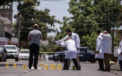 Homicidios dolosos en 2024 muestran leve incremento; Sheinbaum destaca avances en seguridad