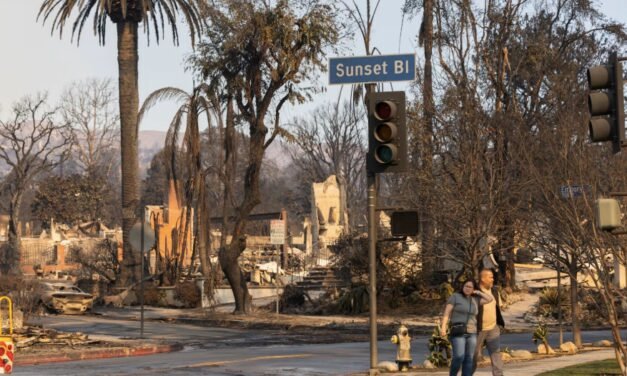 Incendios en California: Un desastre sin precedentes y la crisis política que deja el fuego