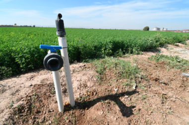 Captura de pantalla 2025-02-04 133204