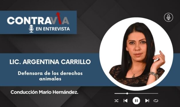 El caso de la falsa veterinaria en Torreón: ¿qué sigue tras su detención?