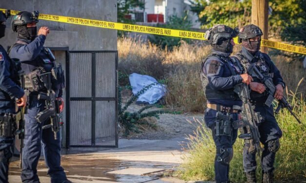 EU designará como organizaciones terroristas a estos cárteles mexicanos y grupos criminales de América Latina