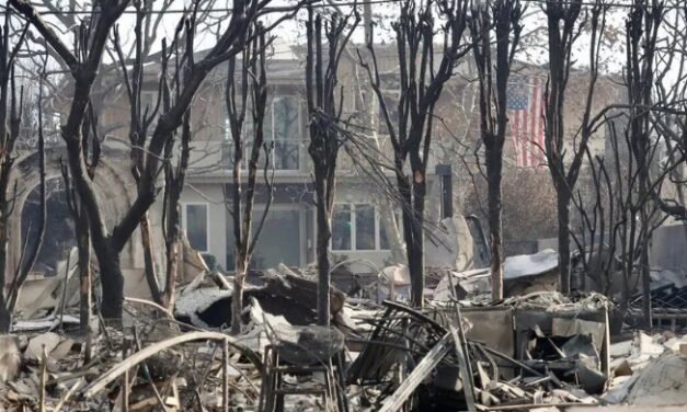 Controlan incendios en Los Ángeles luego de tres semanas