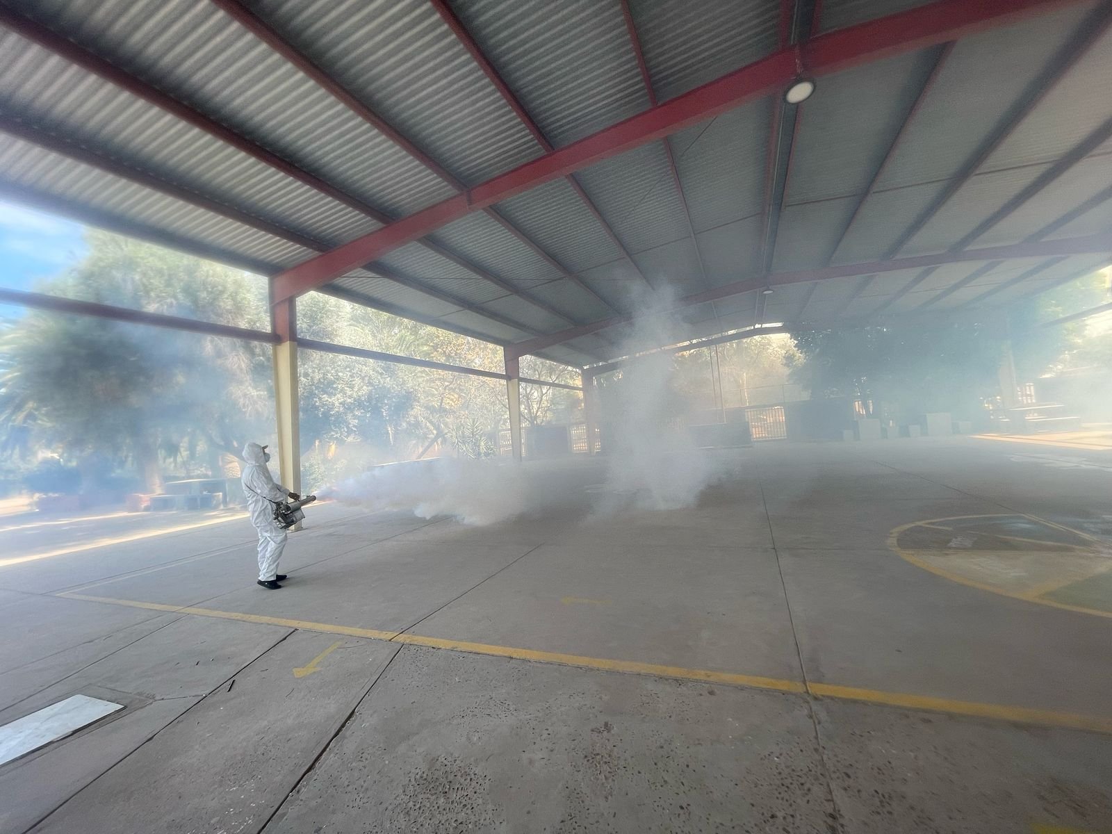 WhatsApp Image 2025-03-01 at 09.56.49