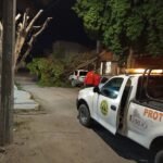 Y viento también ´le pegó´ a Lerdo: Protección Civil y Bomberos sin descanso