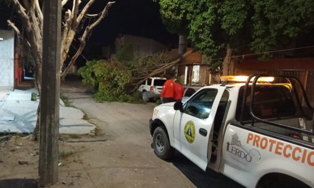 Y viento también ´le pegó´ a Lerdo: Protección Civil y Bomberos sin descanso