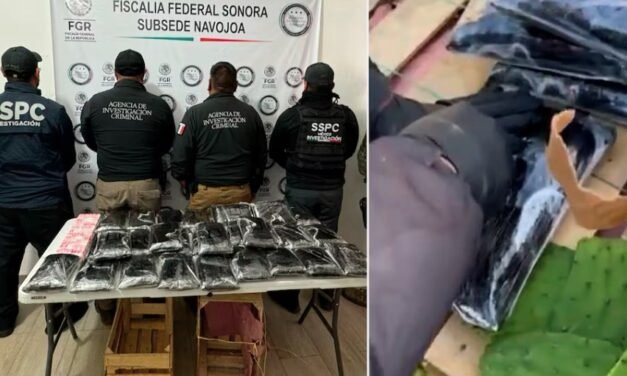Detienen en Sonora a un hombre con 32 kilos de fentanilo ocultos en un cargamento de nopales