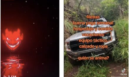 Narcos en TikTok: así reclutan jóvenes con emojis, música y promesas falsas