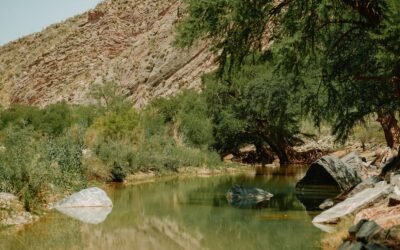 Torreón celebrará el Día de la Madre Tierra con jornada de reforestación en Jimulco