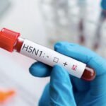 Activan protocolo sanitario en granjas tras caso de influenza aviar A H5N1