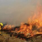 México enfrenta una de las peores temporadas de incendios forestales de la década
