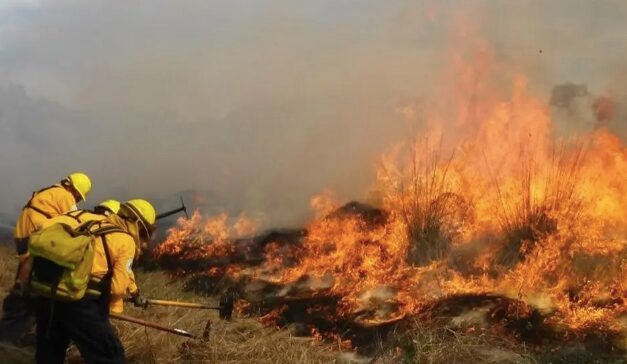 México enfrenta una de las peores temporadas de incendios forestales de la década